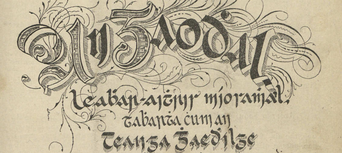 An Gaodhal Irish-English Bilingual Model